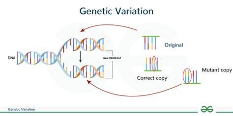 biology genes and variation study guide