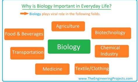 Biology Help