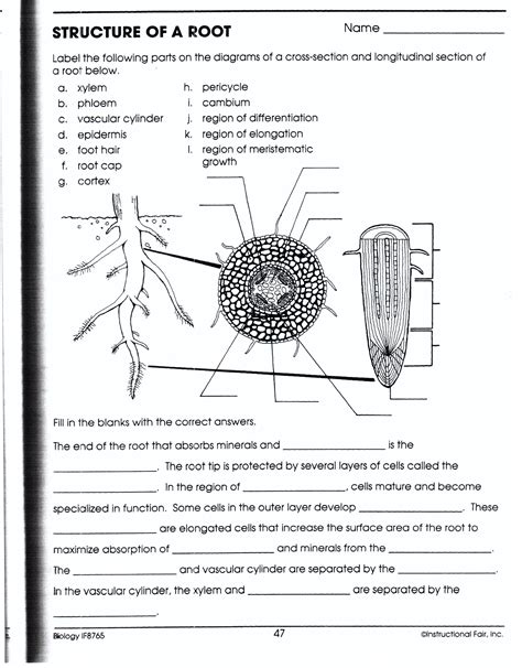 biology if8765 answer key
