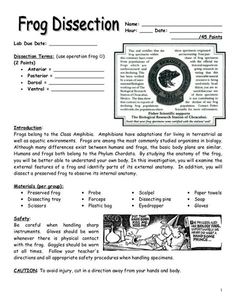 biology junction frog dissection answer key