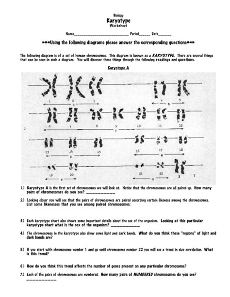 Biology Karyotype Worksheet Answer Key Mastering The Basics Biology Karyotype Worksheet Answers Key - Biology Karyotype Worksheet Answers Key