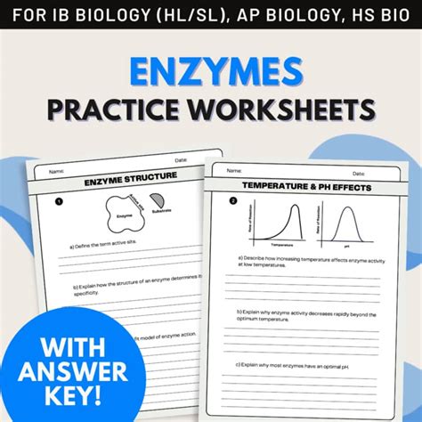 biology lab enzymes answer key