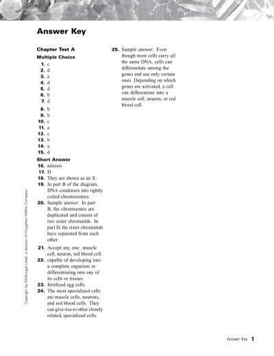 biology mcdougal chapter 7 key