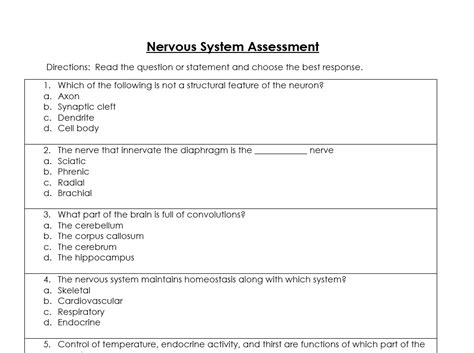 Biology Nervous System Test Answer Key