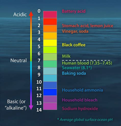 Biology Ocean Water Acidity All A Essays We Ocean Water Chemistry Worksheet Answers - Ocean Water Chemistry Worksheet Answers