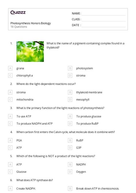 Biology Practice Assessment