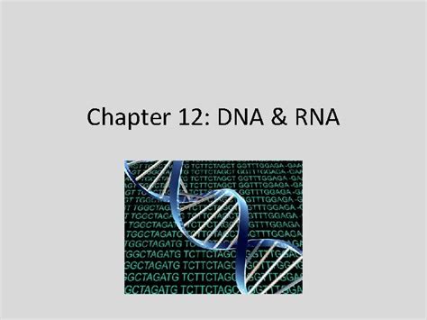 Biology Section 12 1 Dna Answer Key