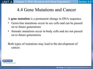 Biology Section 12 4 Mutations Answers