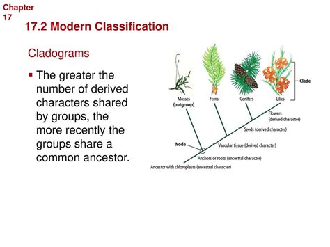 biology section 17 modern classification answers