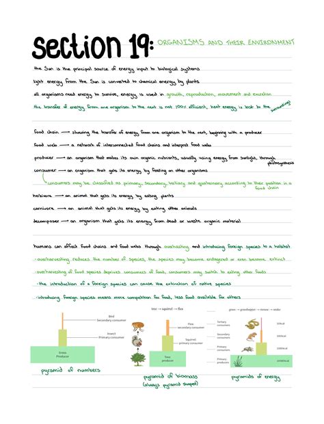 biology section 19 3 answer key