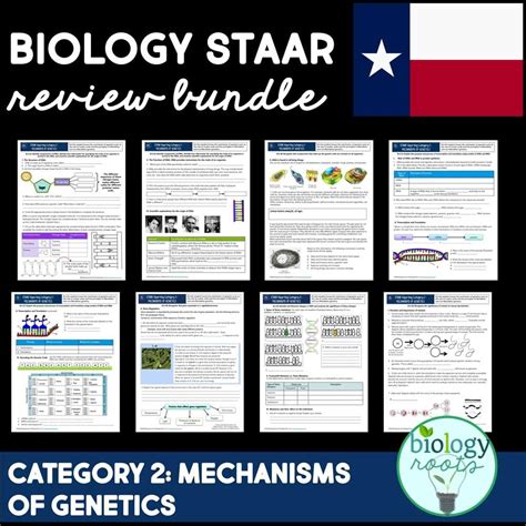 Biology Section Review Answer Key