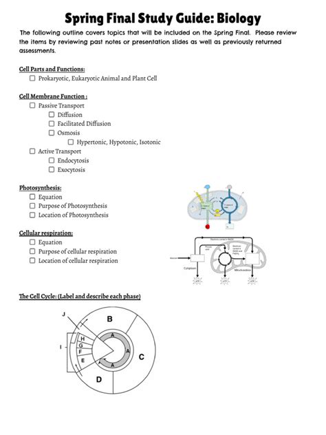 Biology Spring Final Study Guide Answer Key