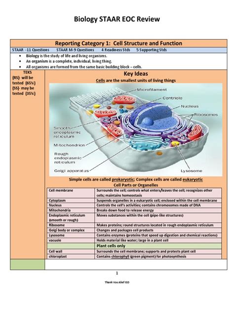Biology Staar Practical Study Guide Answer Key