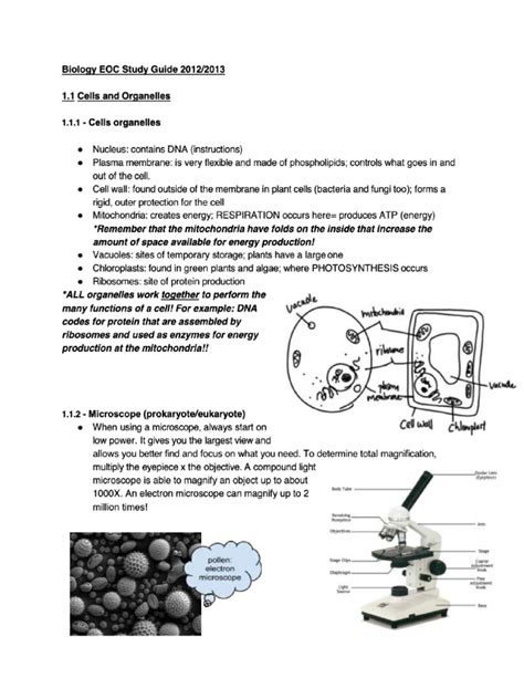 Biology Study Guide Chapter 37
