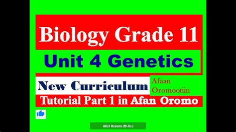 Biology Unit 4 Genetics Study Guide Answers Taniis