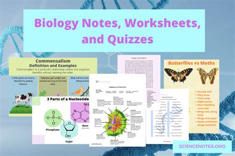 Biology Worksheets Notes And Quizzes Pdf And Png Science Handouts - Science Handouts