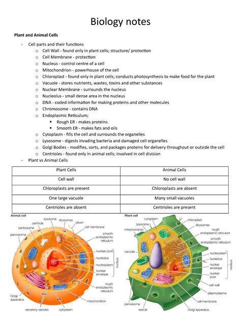 Read Online Biology 10Th Grade Study Guide 
