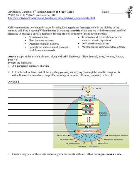 Read Online Biology Campbell 8Th Edition Study Guide Answers 