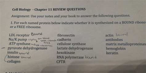 Download Biology Chapter 11 Review Answers 