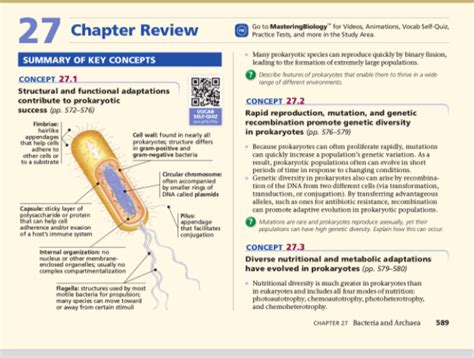 Read Biology Chapter 27 Quizlet 