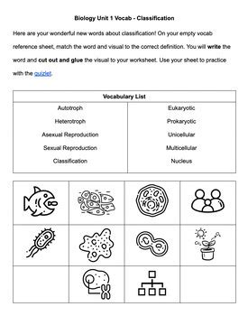 Download Biology Classification Packet Answers 