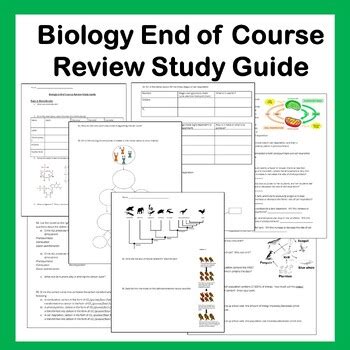 Download Biology End Of Course Exam Study Guide Part 2 