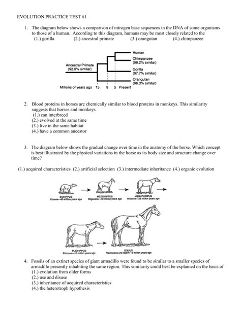 Download Biology Evolution Test Bank Questions Answers 