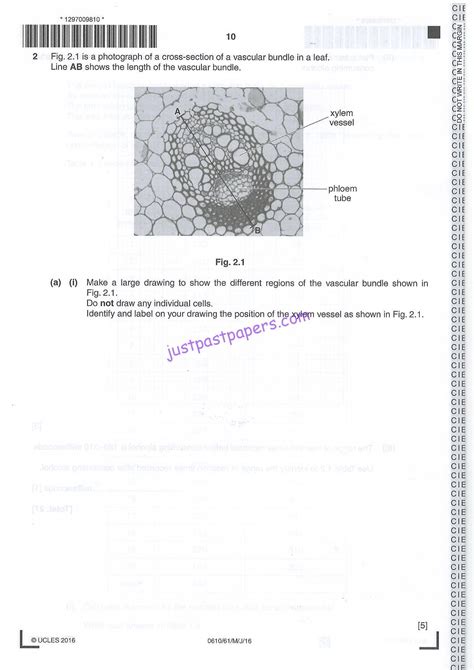 Full Download Biology Igcse 2013 June 1Br Question Paper 