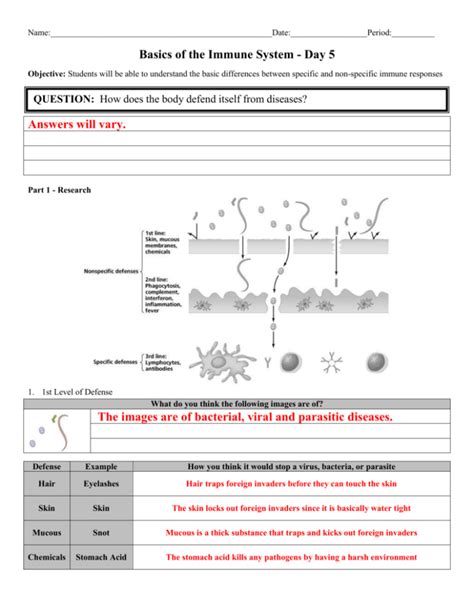 Read Biology Immune System And Disease Answer Sheet 