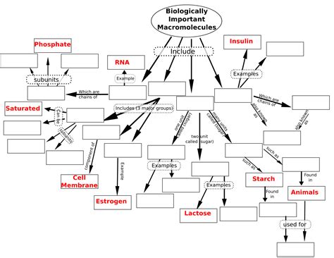 Full Download Biology Macromolecules Concept Map Answers 