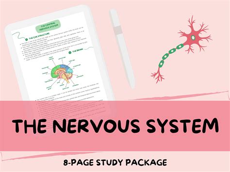 Read Biology Nervous System Guide Answers 