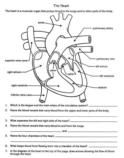Read Biology Past Exam Papers Circulatory System 
