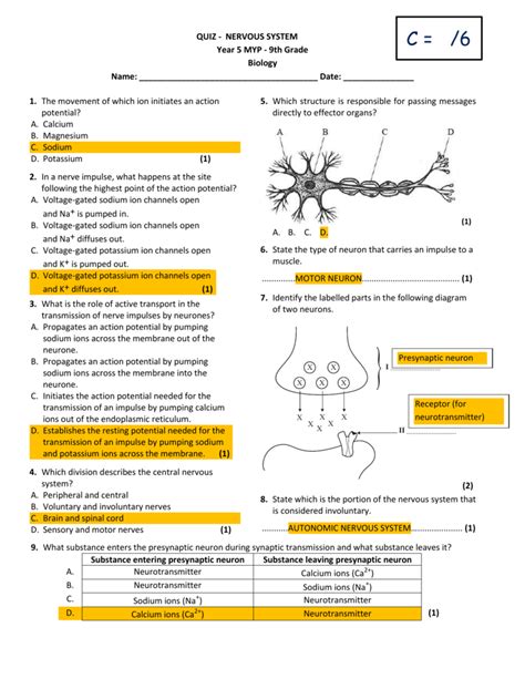 Download Biology Past Exam Papers Nervous System 