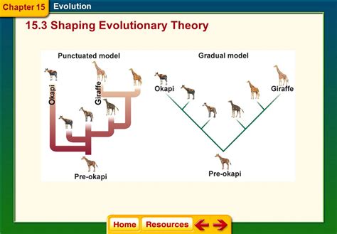 Read Online Biology Shaping Evolutionary Theory Study Guide Answers 