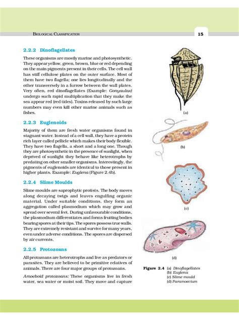 Read Biology Supplementary Material Class 11 2015 Pdf 