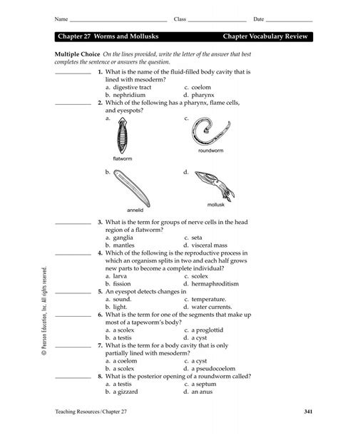 Download Biology Worms And Mollusks Study Guide Answers 