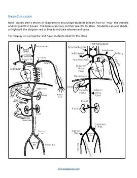 Biologycorner Com