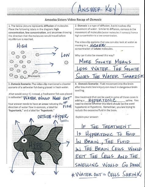Biomagnification Answer Key Worksheets Learny Kids Biomagnification Worksheet Answers - Biomagnification Worksheet Answers