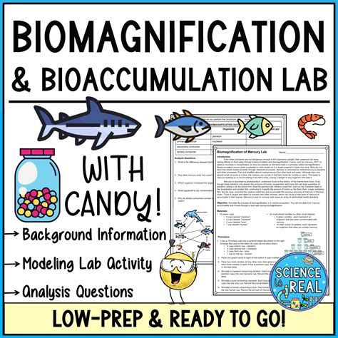 Biomagnification Lab Worksheets Learny Kids Biomagnification Worksheet Answers - Biomagnification Worksheet Answers