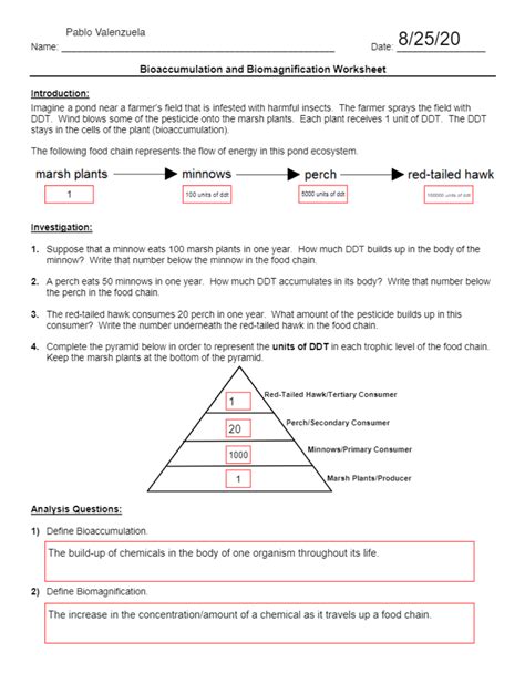 Biomagnification Worksheet Answers   Biomagnification Activity Penn State Extension - Biomagnification Worksheet Answers
