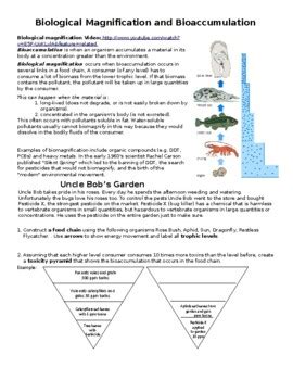 Biomagnification Worksheets Learny Kids Biomagnification Worksheet Answers - Biomagnification Worksheet Answers