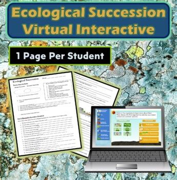 Bioman Ecological Succession Interactive Virtual Activity Tpt Succession Biology Worksheet - Succession Biology Worksheet