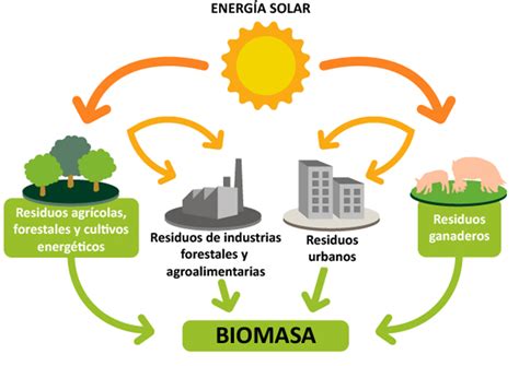 biomasa - chokis