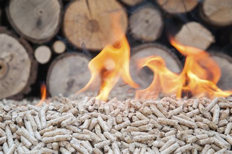 Biomass Energy Source Of Power