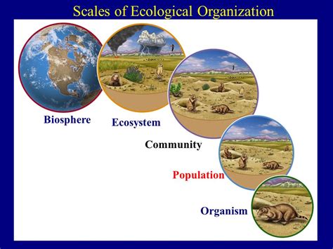 Biome Amp Ecosystem Amp Habitat Ecology K 12 Desert Science Experiments - Desert Science Experiments