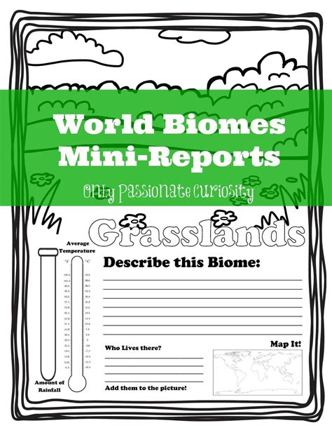 Biome Facts Amp Worksheets For Kids Characteristics Plants Land Biome Worksheet - Land Biome Worksheet