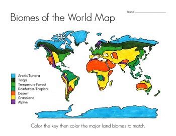 Biome Map By Hatching Curiosity Tpt Biomes Of The World Answer Key - Biomes Of The World Answer Key