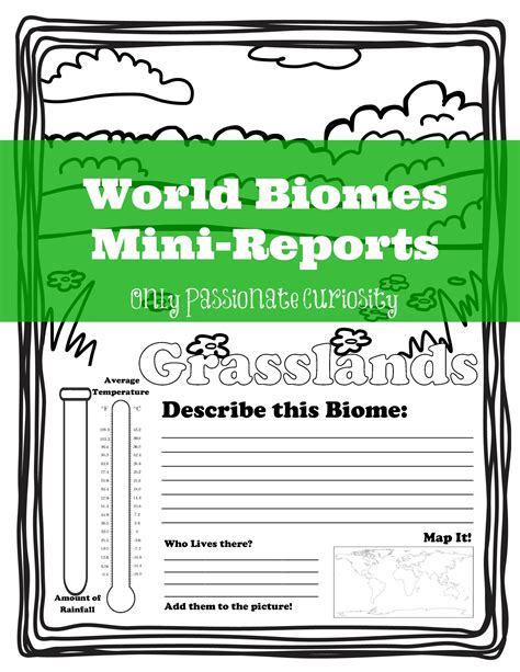 Biome Research Worksheet   Printinglass Biome Research Paper - Biome Research Worksheet