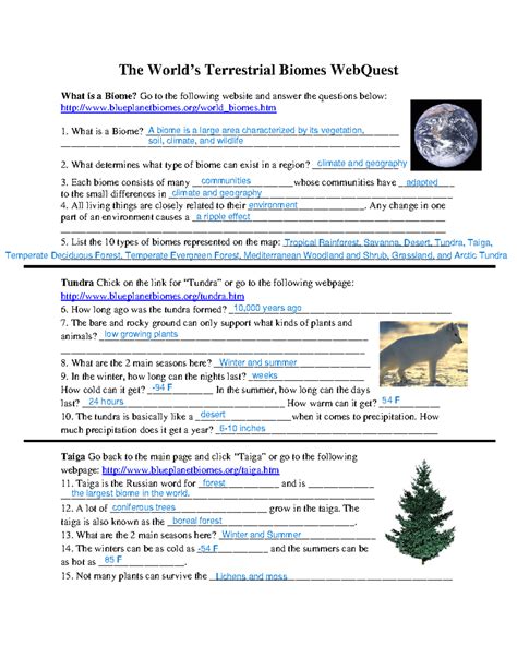 Biome Webquest Answer Key