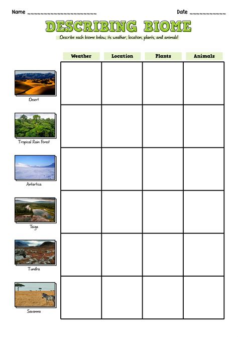 Biome Worksheet Teaching Resources Tpt Land Biome Worksheet - Land Biome Worksheet